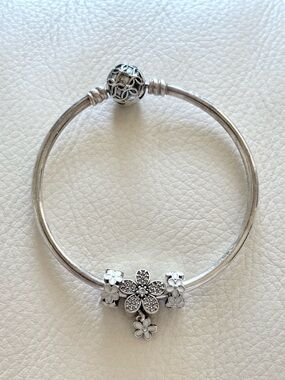 Pandora Bangle with Charms
